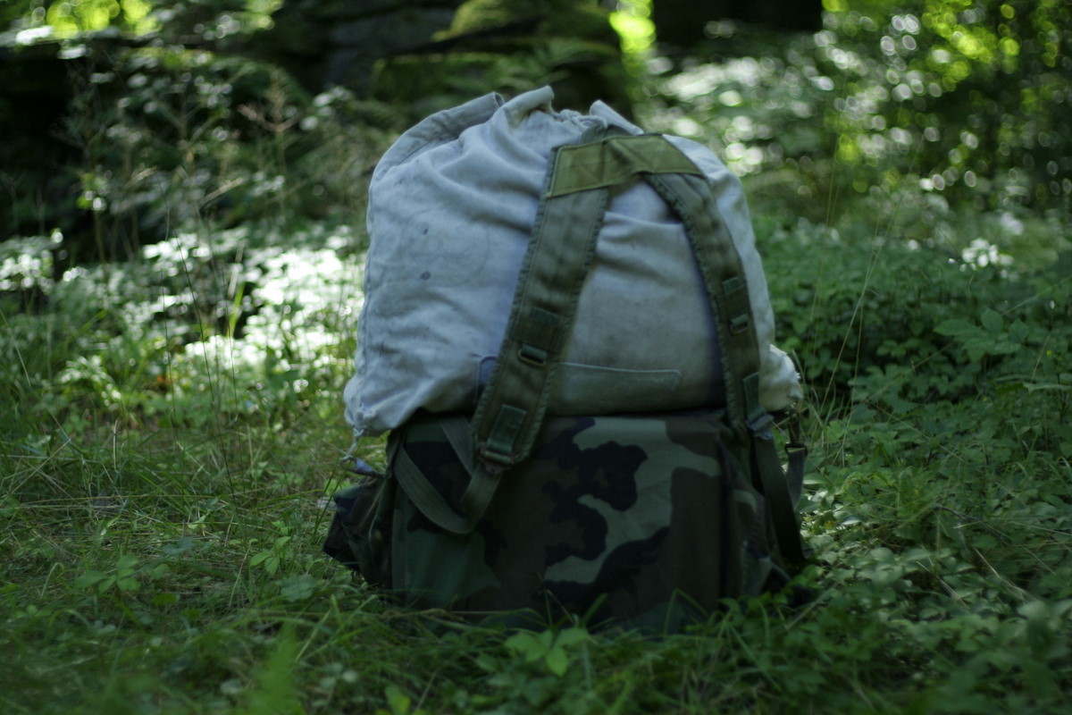 Май элис. Рюкзак Alice Medium Pack.. Alice Backpack. Alice Backpack Infestation. Alice Backpack m Loadout.