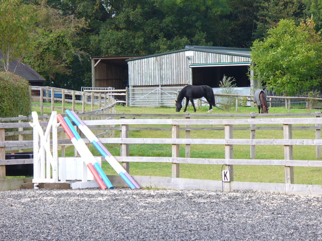 File:Near White's Hill - geograph.org.uk - 1524589.jpg