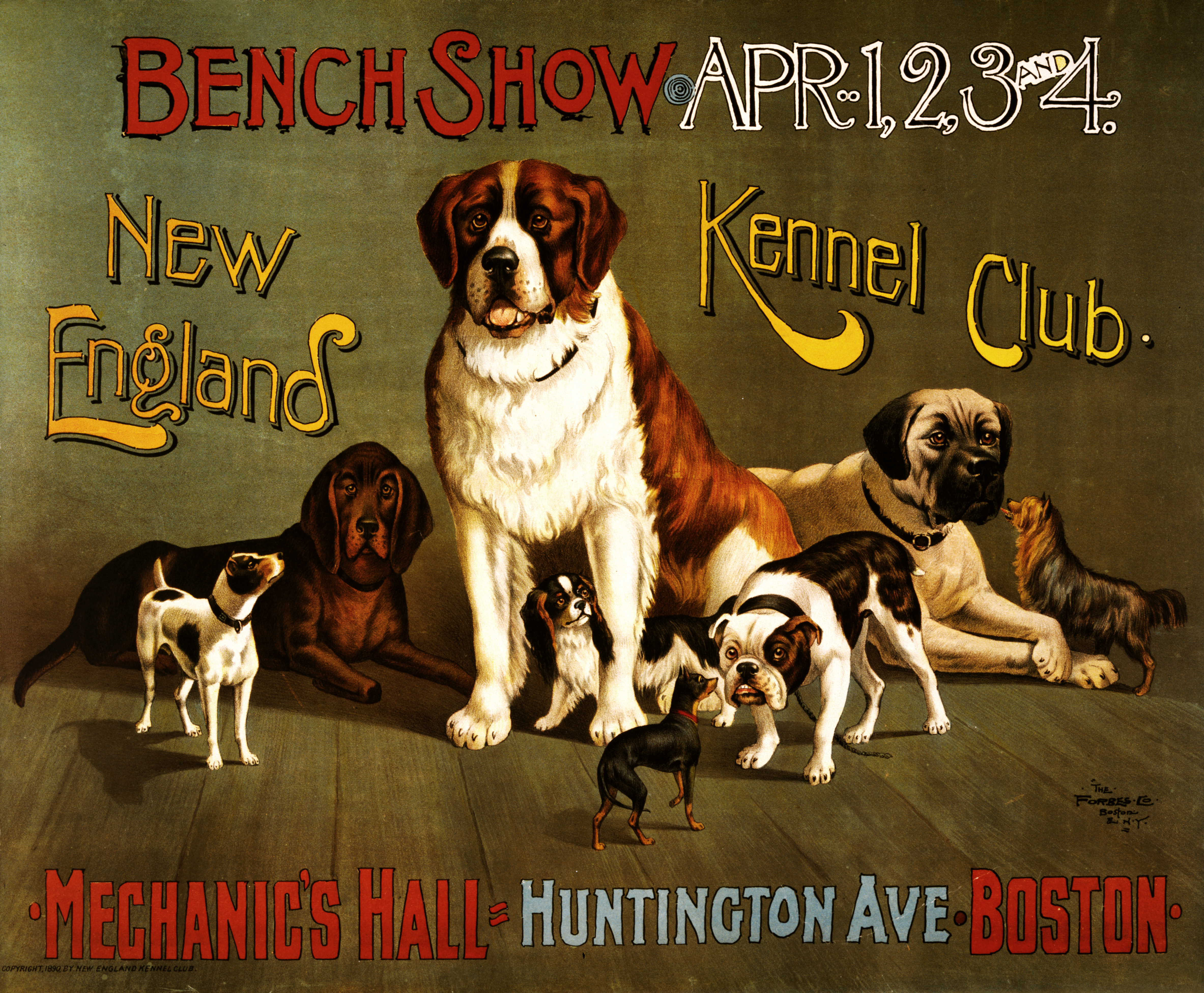 kennel club dog registration