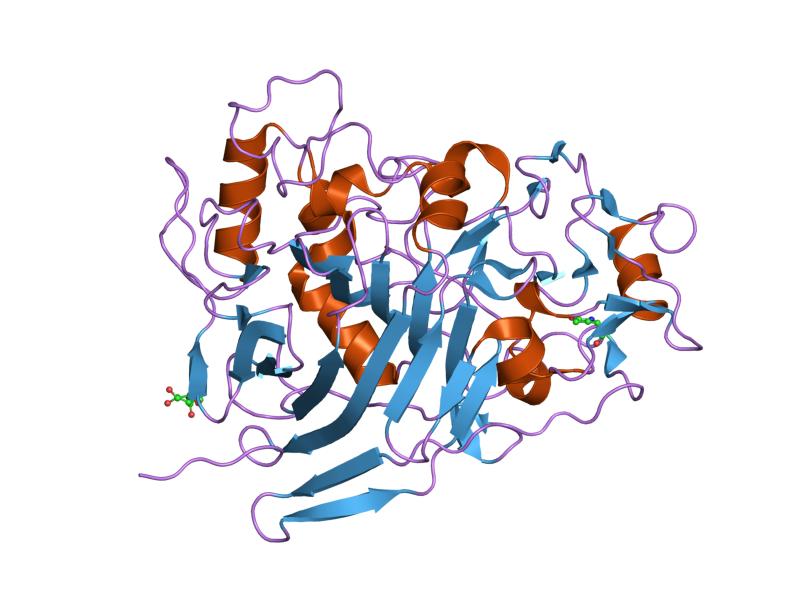 File:PDB 1gpi EBI.jpg