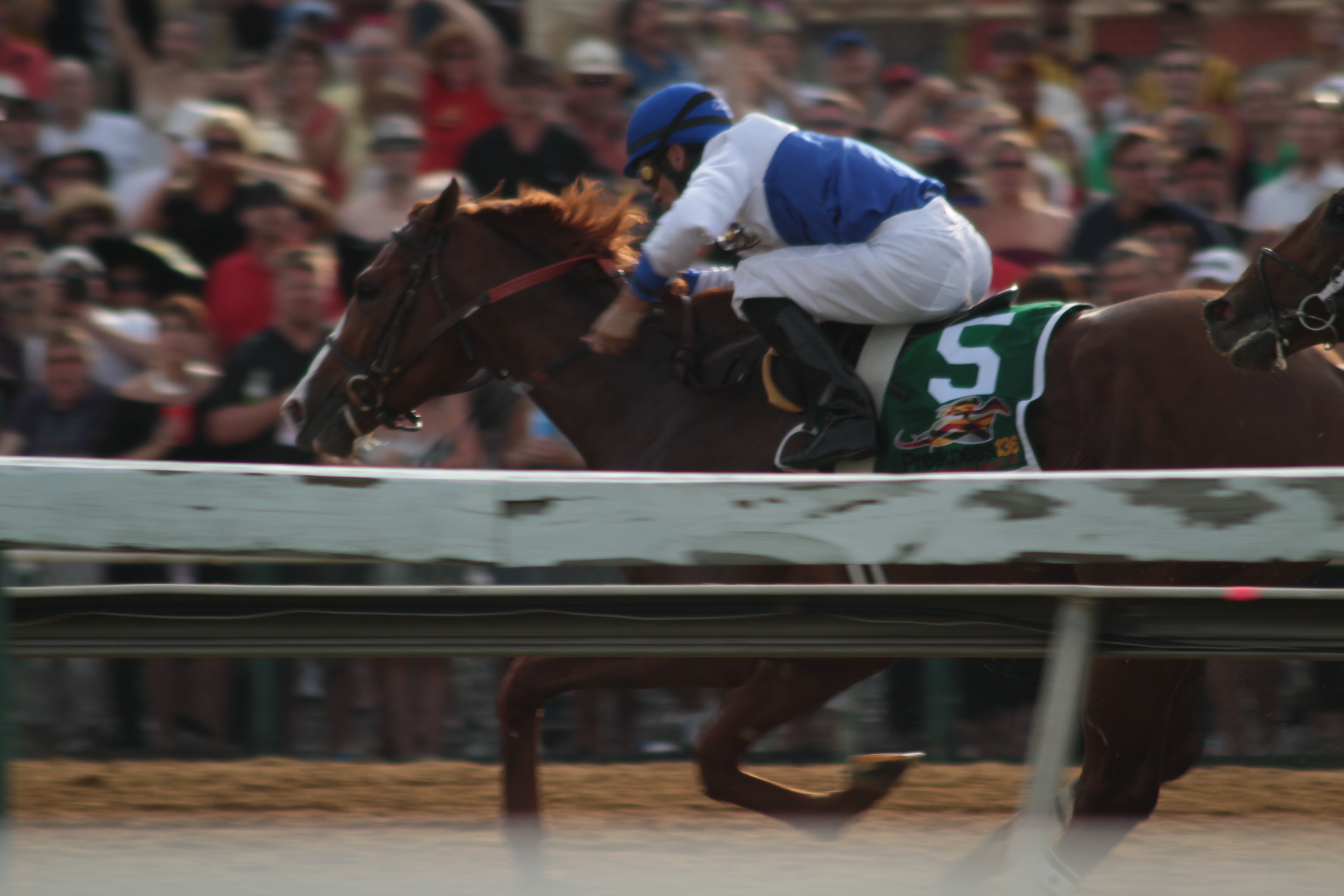 2011 Preakness Chart