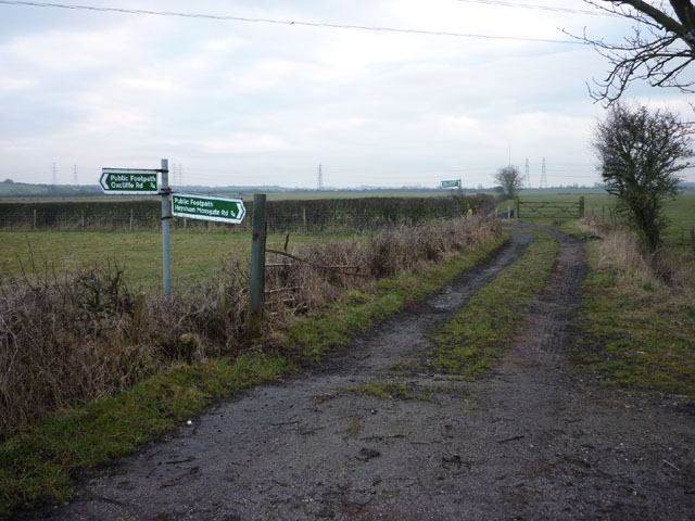 File:Track junction, Heysham Moss - geograph.org.uk - 1720773.jpg