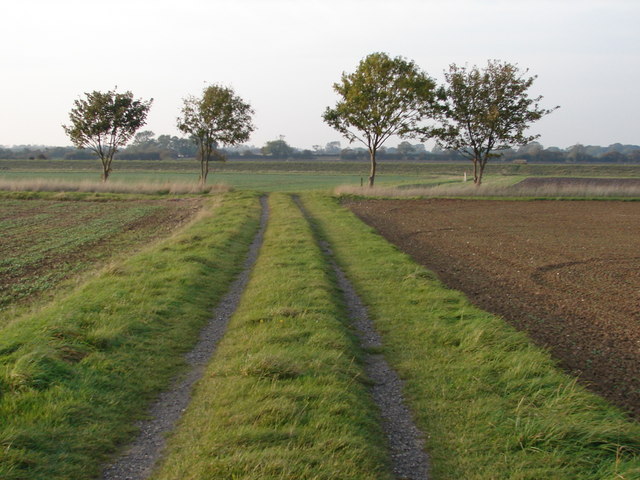 File:Wooded Gatekeepers - geograph.org.uk - 1003536.jpg