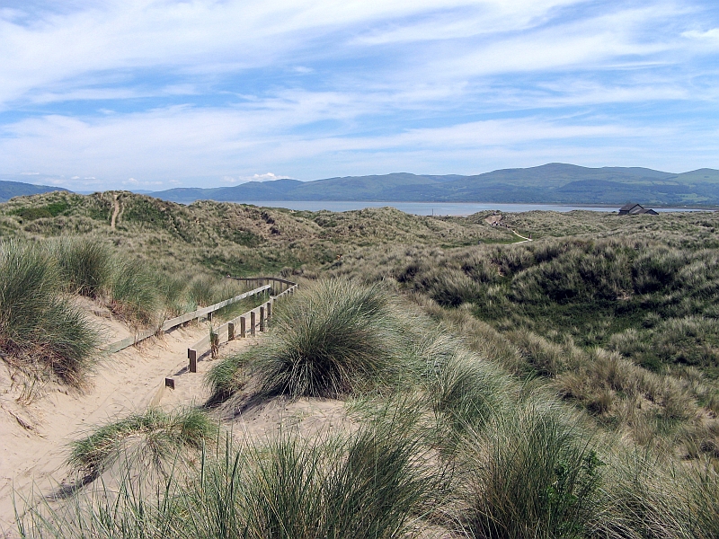 Ynyslas Sand Dunes