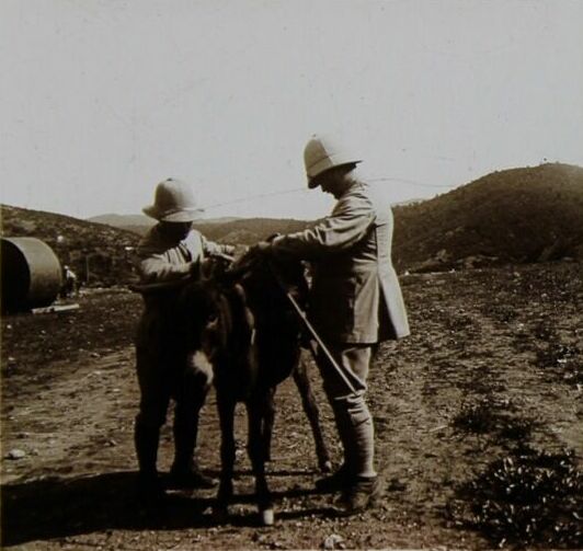 File:(21) - 18 Mai 1918 - Grèce Macédoine - Vallée de la Kodza - Voie de 60 - Arbre-Noir Bifur - Gare de Paillottes (cropped).jpg