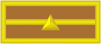 File:08陆军少尉.png