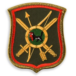 <span class="mw-page-title-main">29th Guards Rocket Division</span> Rocket army of the Soviet Union