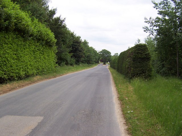 File:Access Lane to Potgate Quarry - geograph.org.uk - 186006.jpg