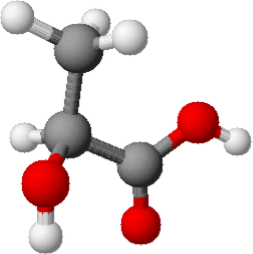 File:Acido S-lattico modello.png - Wikimedia Commons