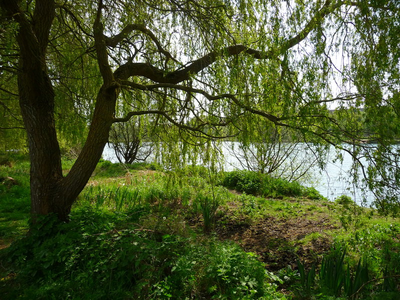 File:Andover - Anton Lakes - geograph.org.uk - 3293026.jpg