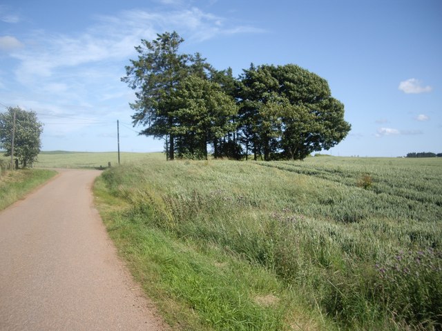 File:Approach to Castleton access - geograph.org.uk - 1410362.jpg