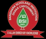 BSI Logo.png 