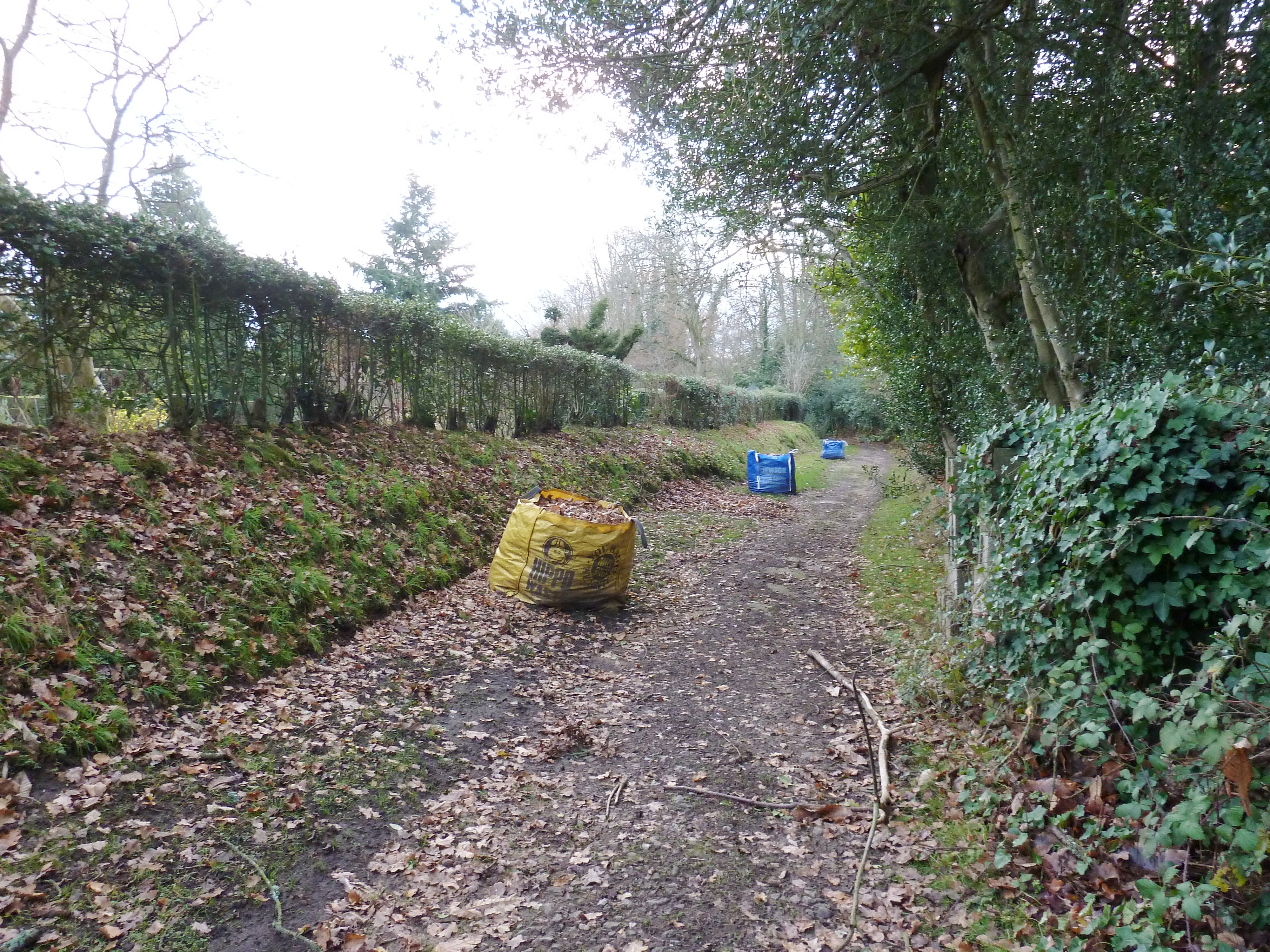 Bags of leaves on footpath 140 by Fintry - geograph.org.uk - 2739957