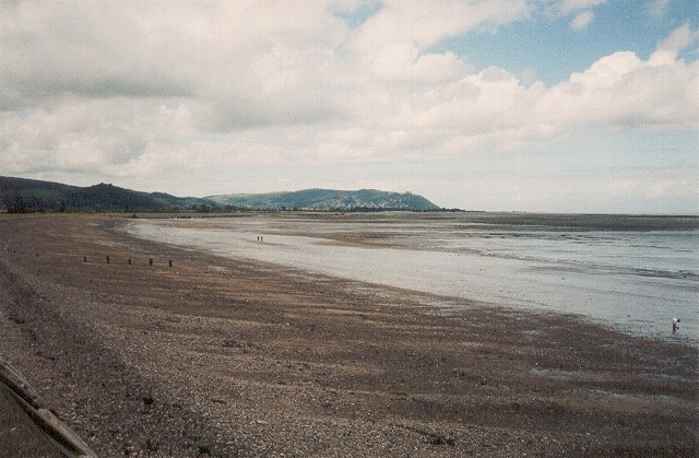 Blue Anchor to Lilstock Coast SSSI