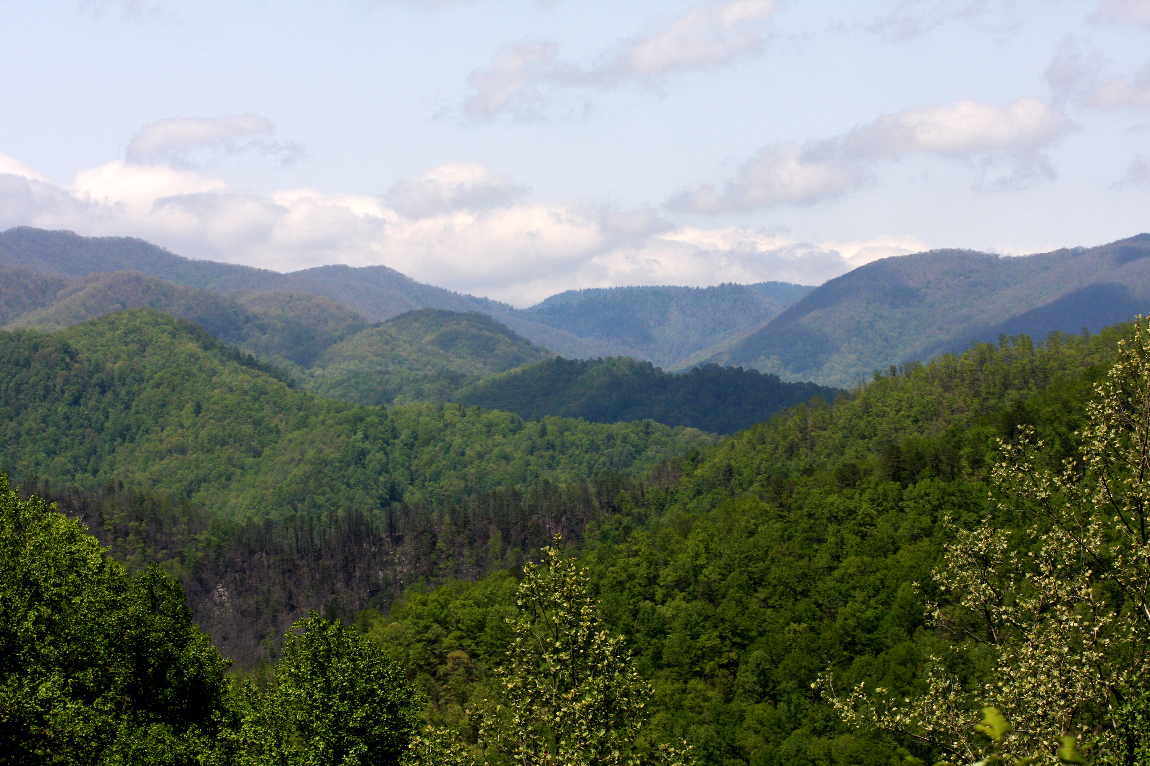 File:Blue Ridge Parkway.JPG - Wikimedia Commons