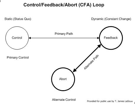 File:CFALOOP6 Fig 6.jpg