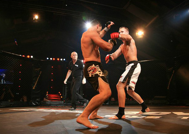 File:Cage Fight Series Kampf.jpg