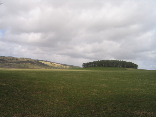 File:Castle Plantation - geograph.org.uk - 151844.jpg