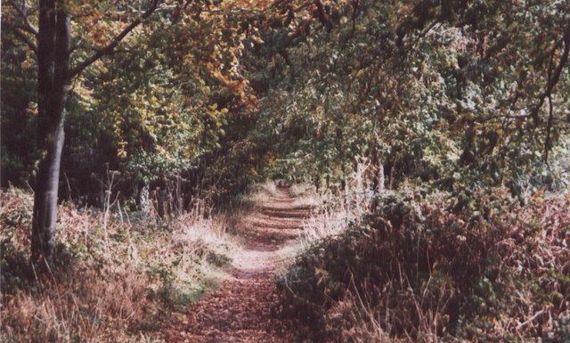 Cathedral Walk - geograph.org.uk - 1550519