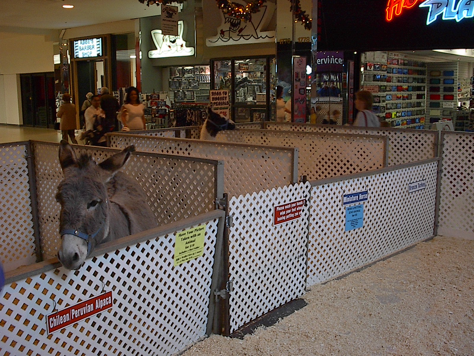 West Edmonton Mall - Wikipedia