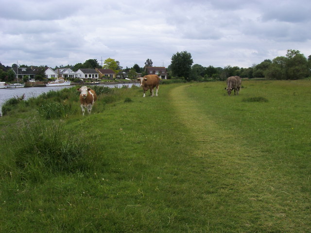 Dumsey Meadow