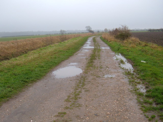 File:Farm Track South of Ellerker - geograph.org.uk - 1603245.jpg