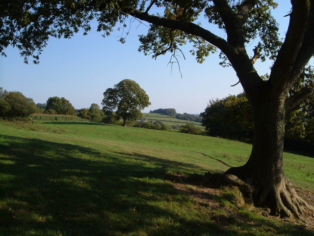 File:Field near Yarcombe - geograph.org.uk - 248953.jpg