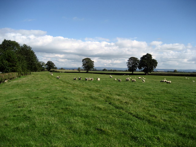File:Field north of Camps Hill - geograph.org.uk - 249627.jpg