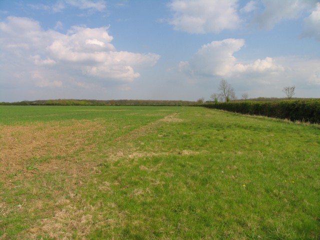 File:Field side north of Benefield road eastwards - geograph.org.uk - 2364823.jpg