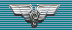 GDR Medals for Loyal Service in the German Railroads 20 yrs ribbon.png