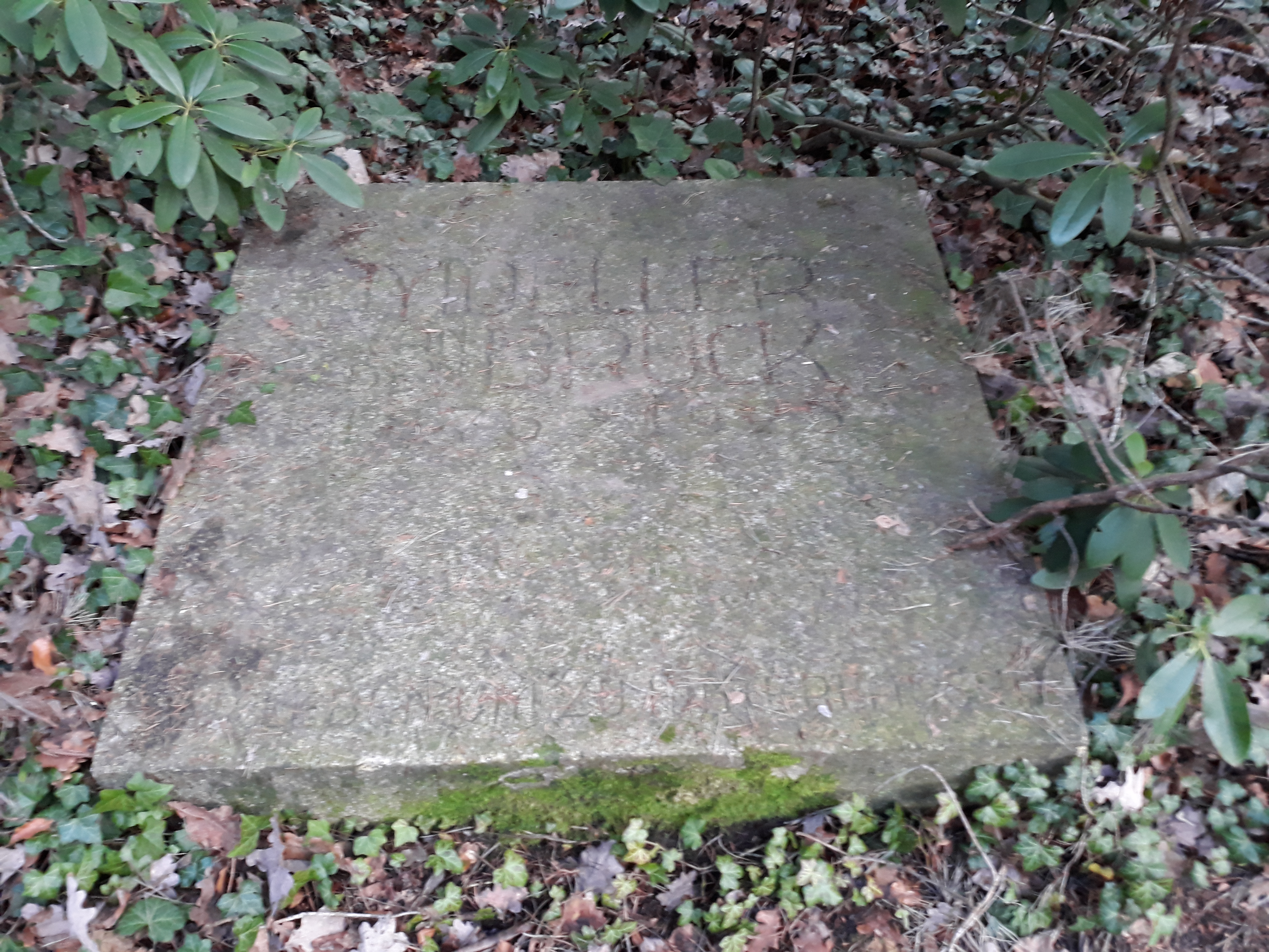 Grabstätte Moeller van den Bruck auf dem [[Parkfriedhof Lichterfelde