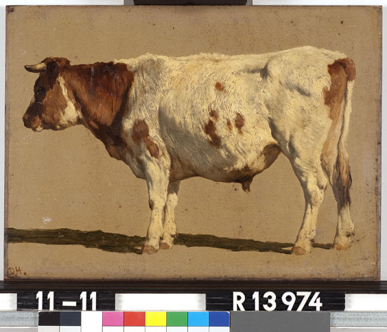 File:J.H.L. de Haas - Studie van een roodbonte koe - R13974 - Cultural Heritage Agency of the Netherlands Art Collection.jpg