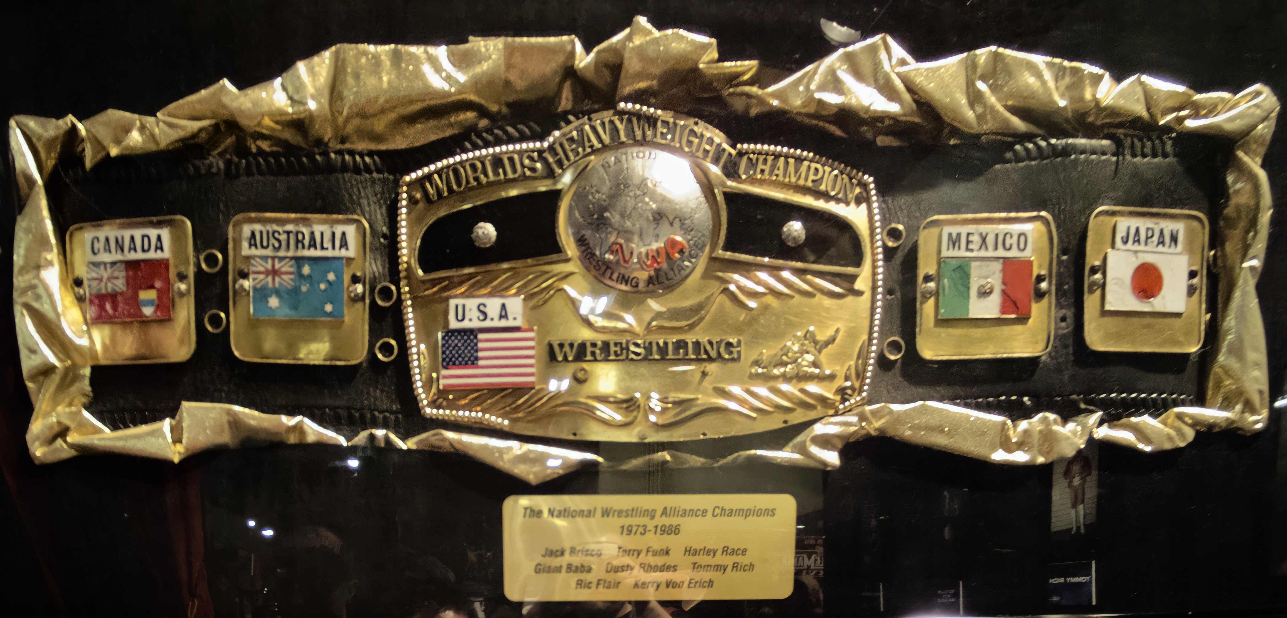 World class heavy weight championship Belt