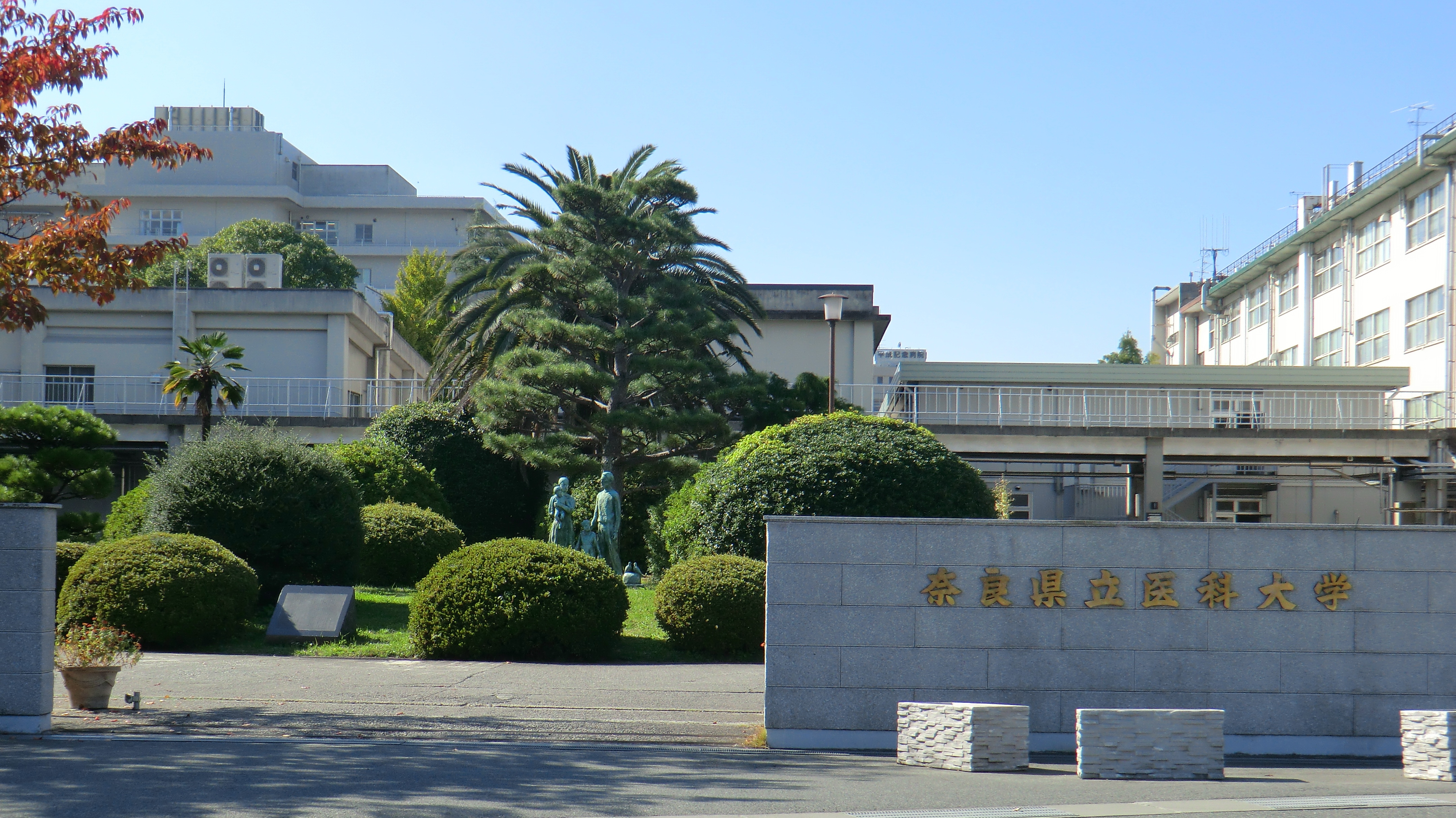 奈良 県立 医科 大学