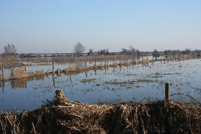 Ouse Washes at Welney - geograph.org.uk - 688580