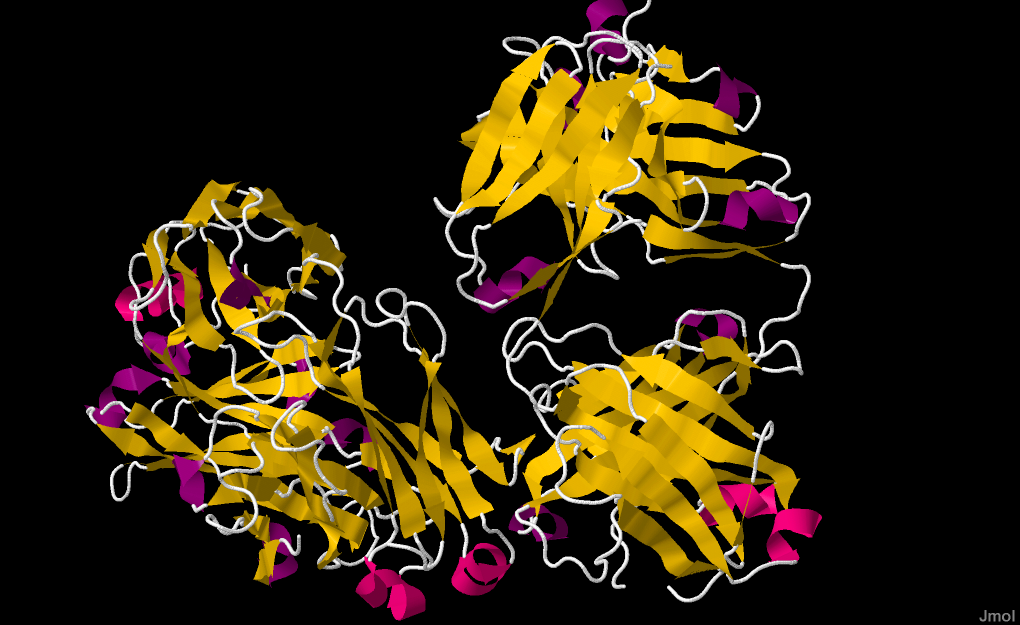 Rituximab