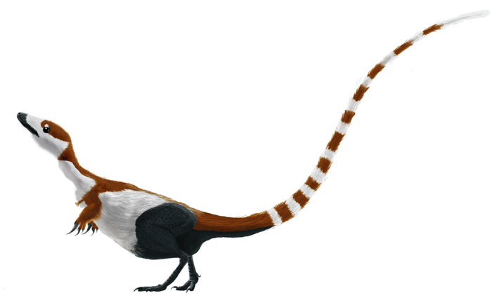 File:Sinosauropteryx mmartyniuk solosml.png