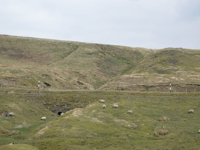 File:Thorney Slit - geograph.org.uk - 1293849.jpg