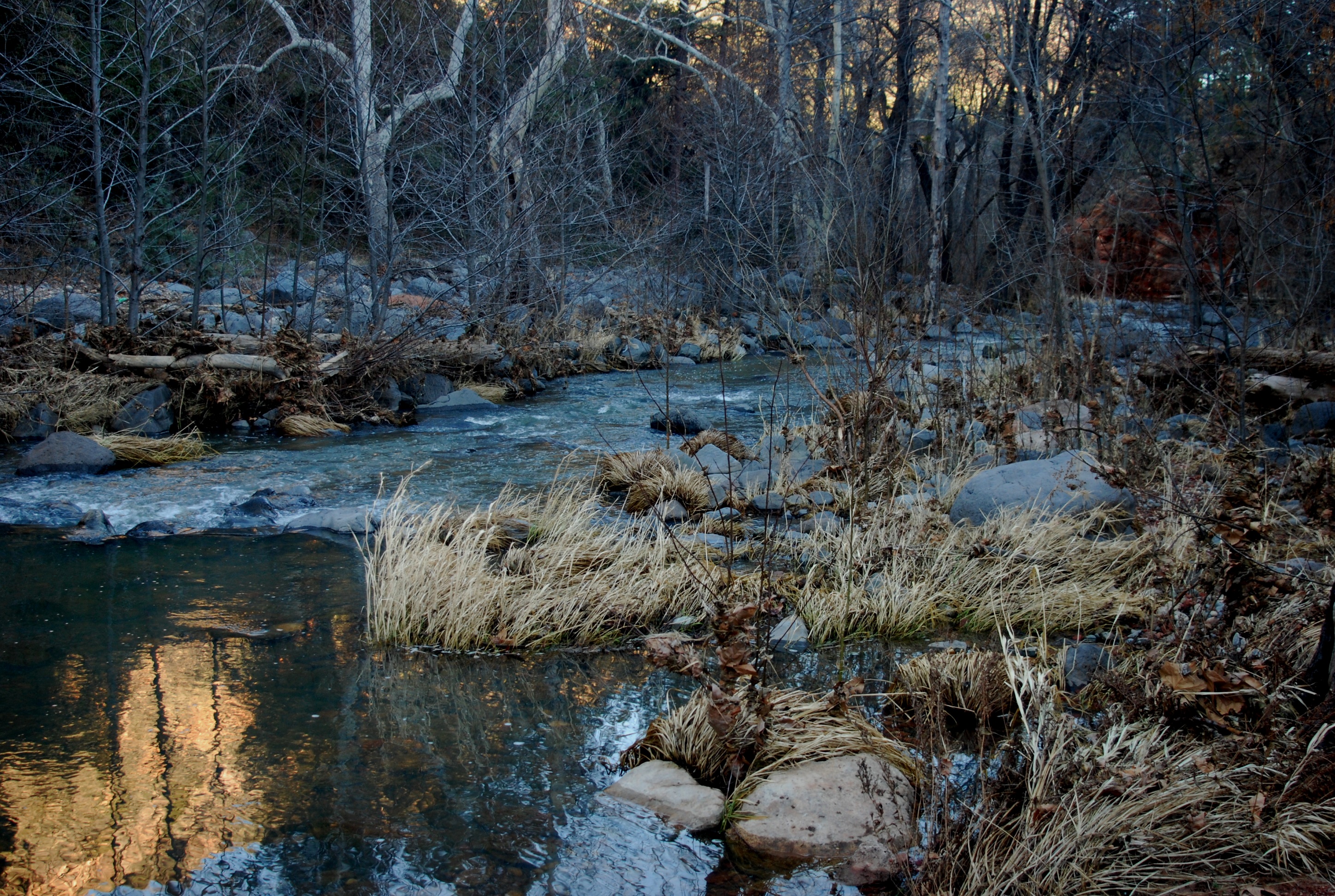 File:Winter Afternoon, Oak Creek Arizona, Manzanita ...