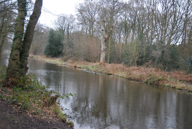 File:Basingstoke Canal - geograph.org.uk - 3540432.jpg