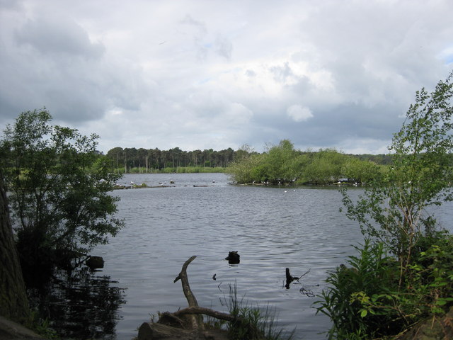 File:Blakemere Moss, Delamere - geograph.org.uk - 1313506.jpg