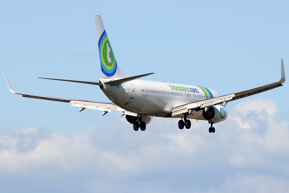 Boeing 737 8f2. Transavia a320. Трансавиа Российская авиакомпания. ТРАНСАВИАСЕРВИС. Boeing 737-86j Transavia Plan.