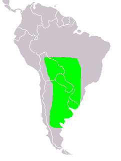 Bestand:Chauna torquata distribution.PNG