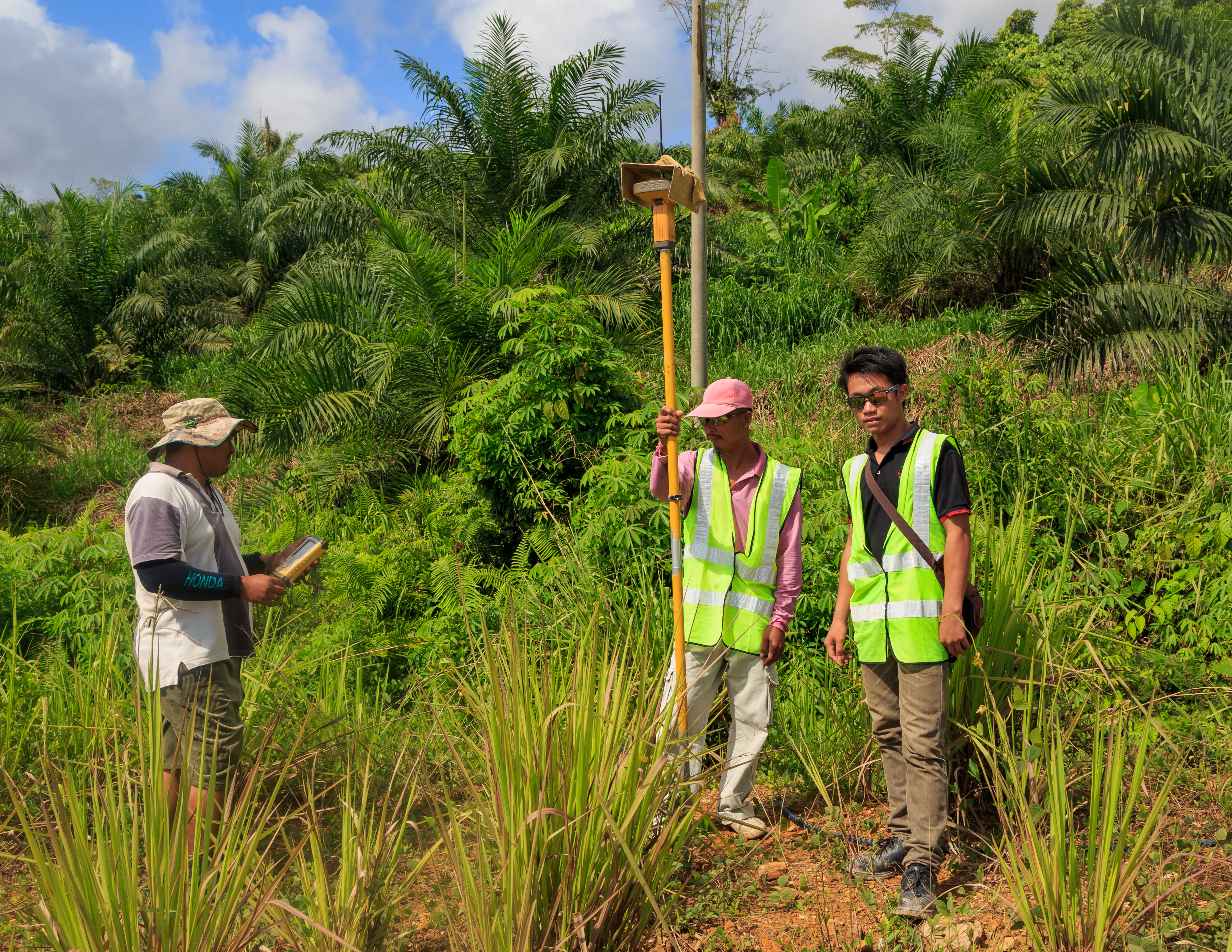 First survey. Field work.