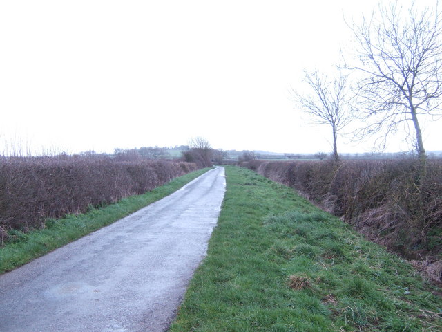 File:Droveway Lane - geograph.org.uk - 355306.jpg