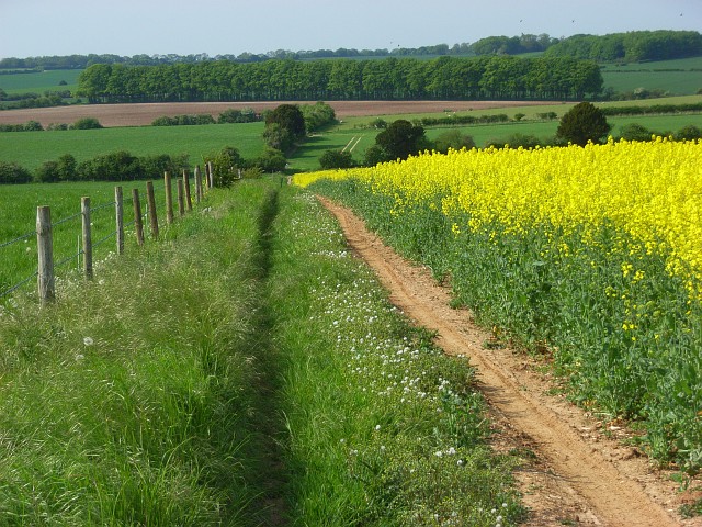 File:Farmland, Chilton Candover - geograph.org.uk - 807045.jpg