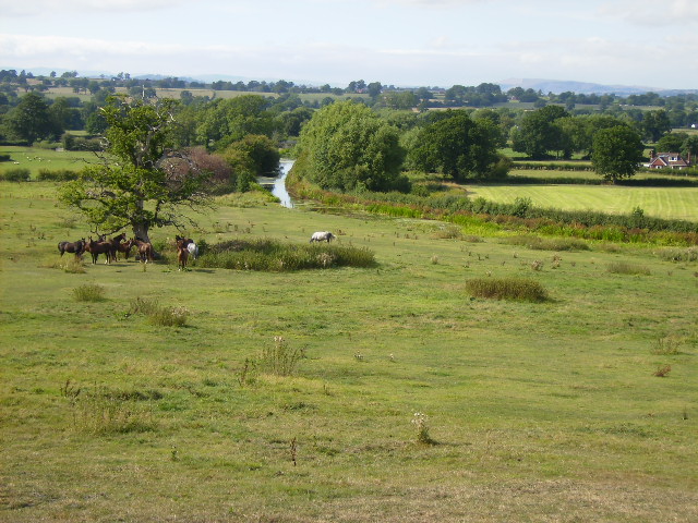 File:Farmland and the Shropshire Union Canal near Bank - geograph.org.uk - 220071.jpg