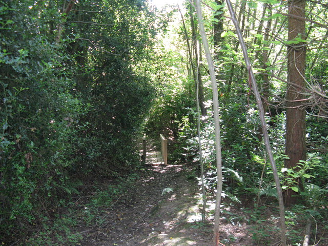 File:Footbridge close to Buncton Lane - geograph.org.uk - 1364527.jpg