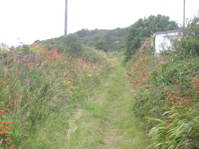 File:Footpath to Guval Downs - geograph.org.uk - 912970.jpg