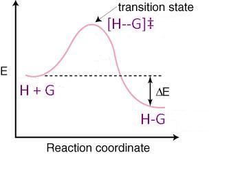 File:HGfreeenergydiagram2.jpg